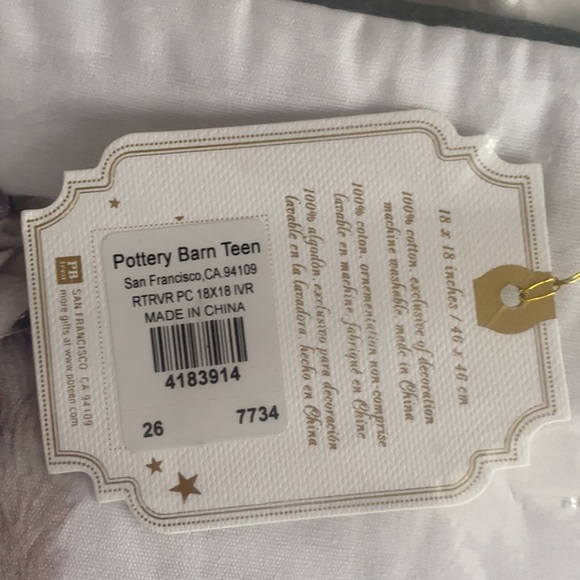 Pottery Barn Teen 18”x18” pillow sham -party dog - Picture 3 of 3